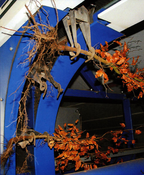 Sortiermaschine für forstbaumschulen