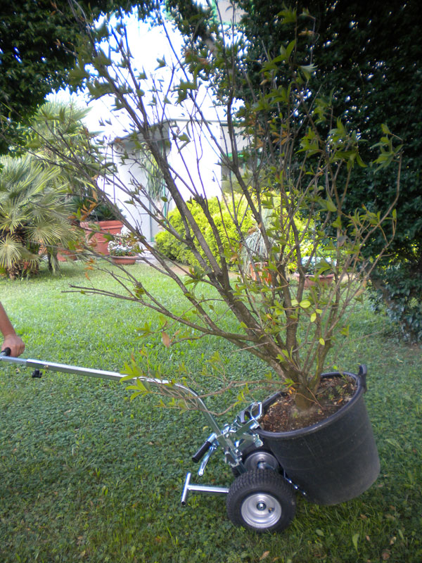 Topftransporter Gyro Kart 310